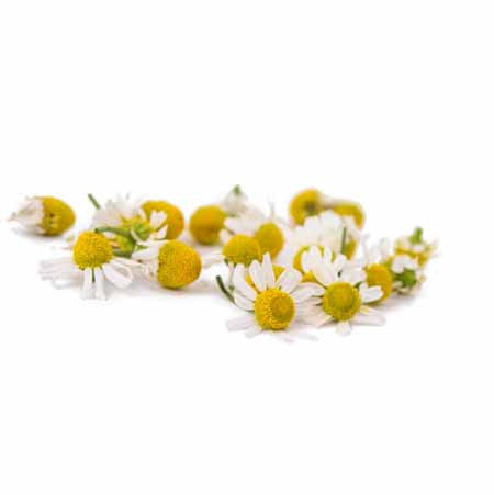 CHAMOMILE ROMAN ORGANIC ESSENTIAL OIL