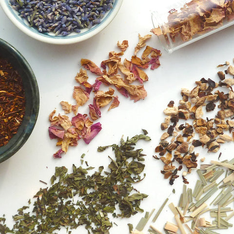WORKSHOP - HERBAL DISCOVERY