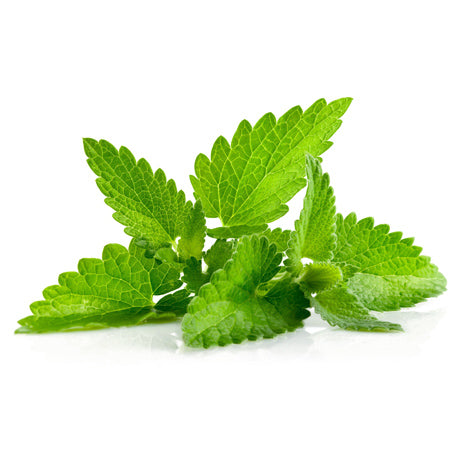 PEPPERMINT ESSENTIAL OIL